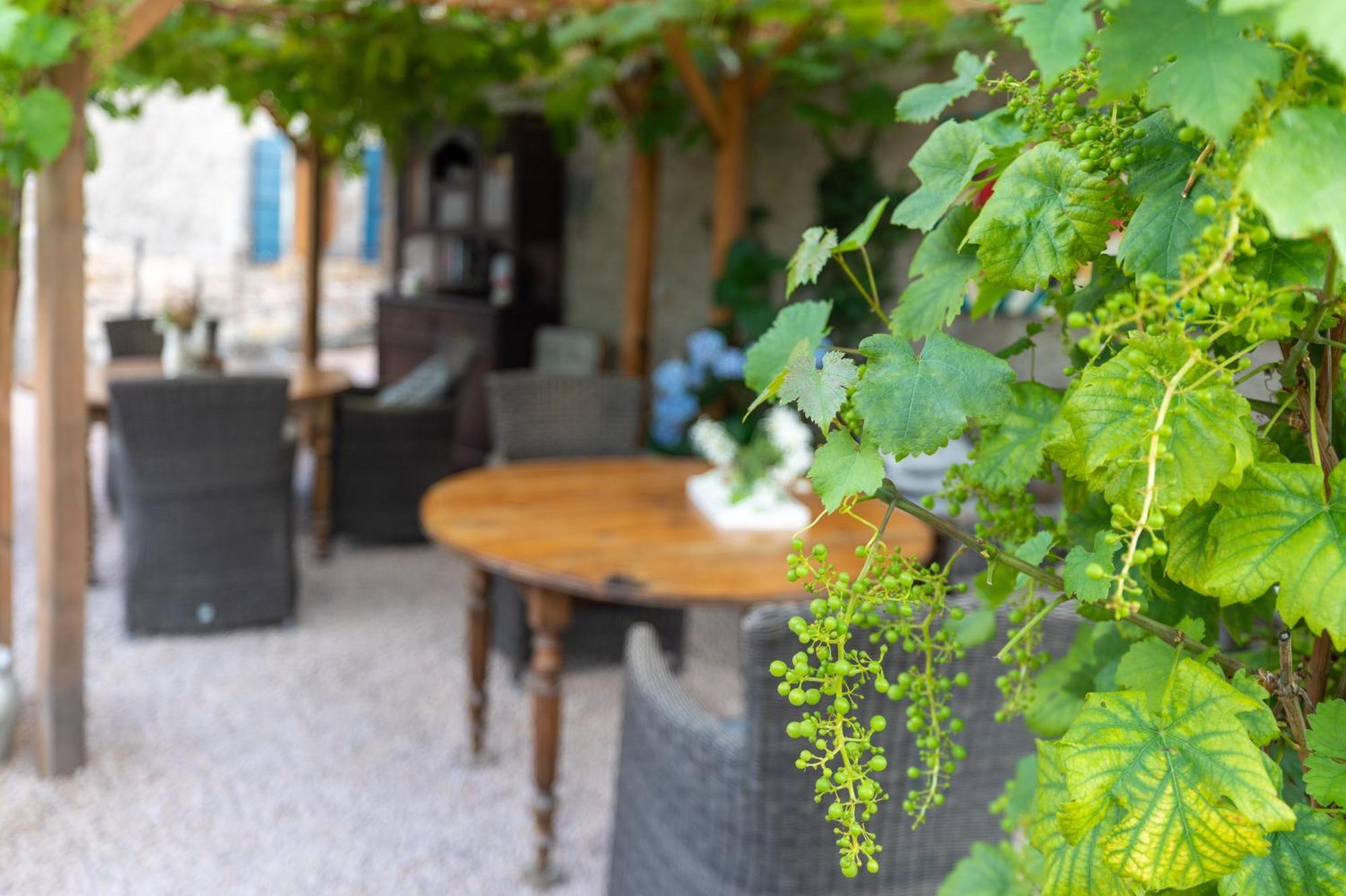 Bed and Breakfast Domaine La Pomme De Pin Louroux-de-Beaune Экстерьер фото